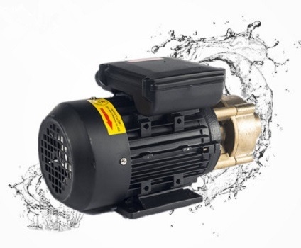 Food and beverage industry WF small high head vortex copper pump for hot and cold change system for solar circulation